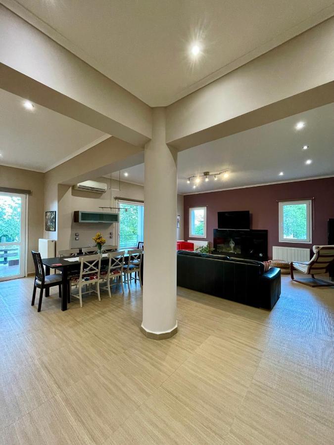 Apollon Paian , Luxury Nature Relax Lefkáda المظهر الخارجي الصورة