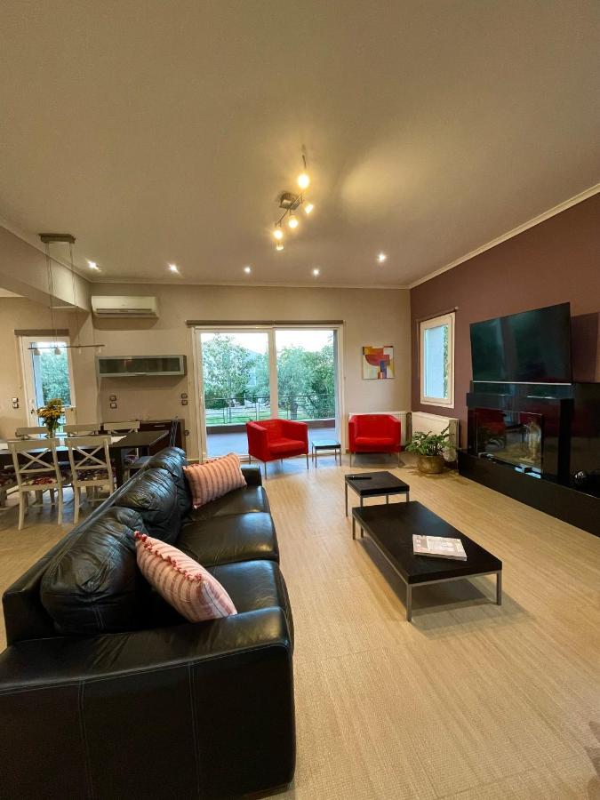 Apollon Paian , Luxury Nature Relax Lefkáda المظهر الخارجي الصورة