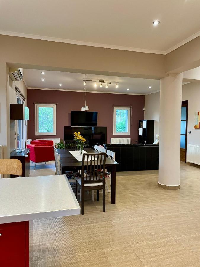Apollon Paian , Luxury Nature Relax Lefkáda المظهر الخارجي الصورة